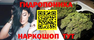 амф Дубна