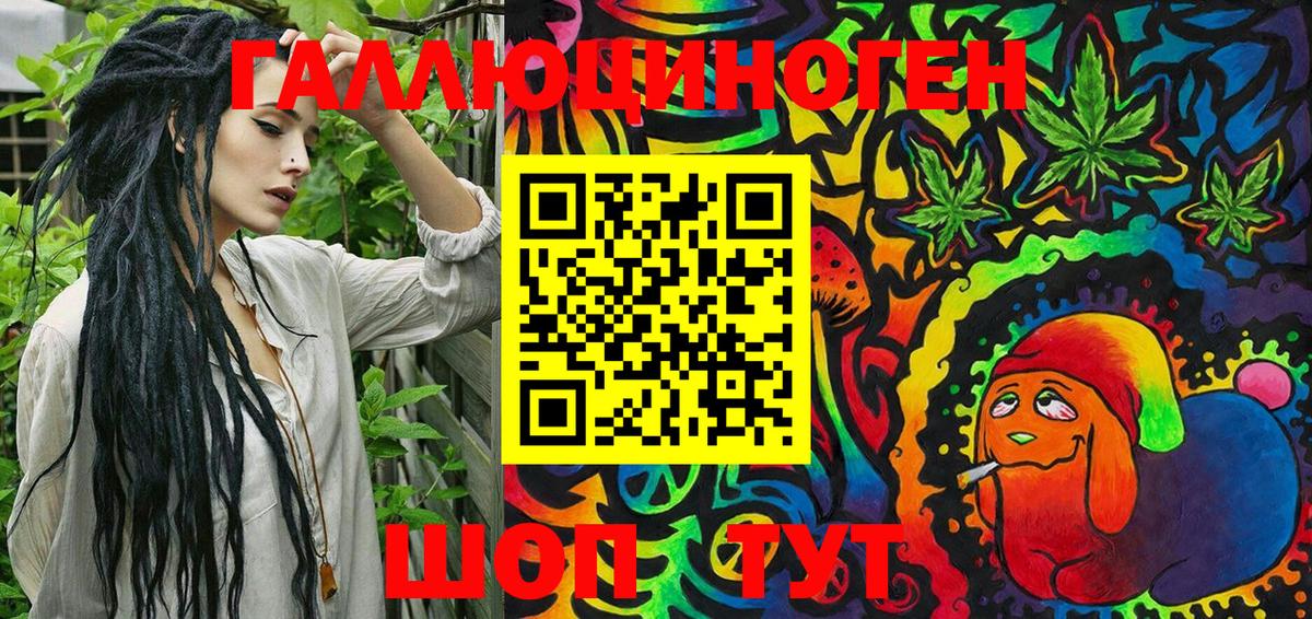 Галлюциногенные грибы Magic Shrooms  Псилоцибиновые грибы Psilocybine cubensis  Вход с VPN  Осинники 