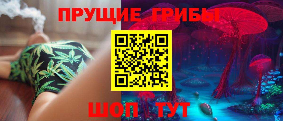 Псилоцибиновые грибы ЛСД Осинники